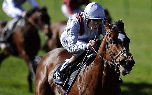 Out and out Stayer - the daily blog from an inveterate punter  fighting to make a profit from backing horse. I post my bets free.