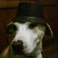 Marcelo (@marrcelor) 's Twitter Profile