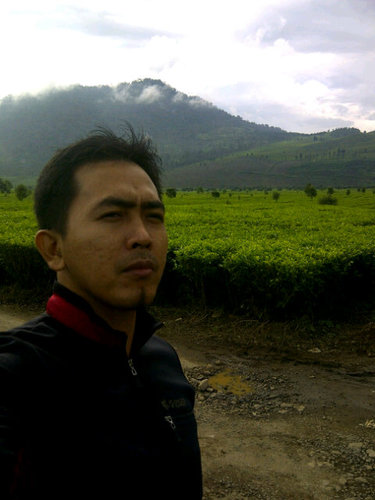 Berjuang