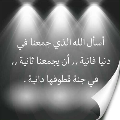 asomi45343's profile picture. 