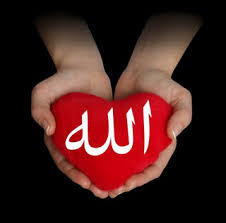 عند مماتي الفردوس الاعلى هدفي
 وفي الدنيا كسب الاجر والحسنات ومشاركتها معكم من اولوياتي
(اتابع الكثير لأحصد الاجر الكثير رتوتك لحسابي يزيد رصيدك ورصيدي عند ربي)