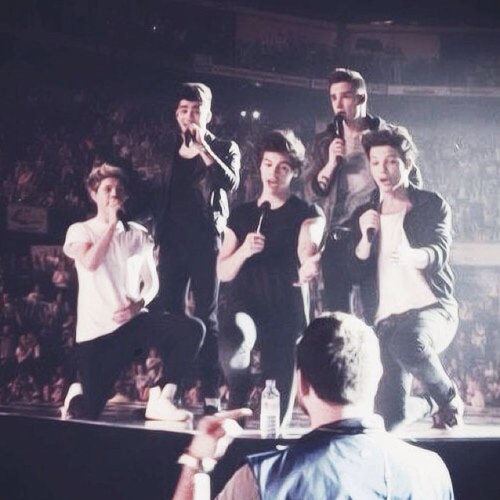 For all the directioners who loves the boys a lot! Every follow is a follow back! xxxxlovee