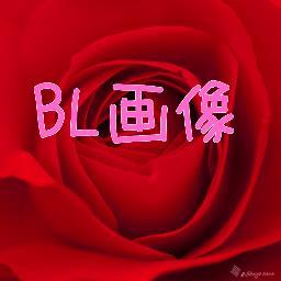 BL画像botさんのプロフィール画像