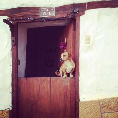 Soñadora, esposa y pediatra.