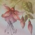 Vintage Fuchsia (@vintagefuchsia) Twitter profile photo Vintage Fuchsia (@vintagefuchsia) Twitter profile photo