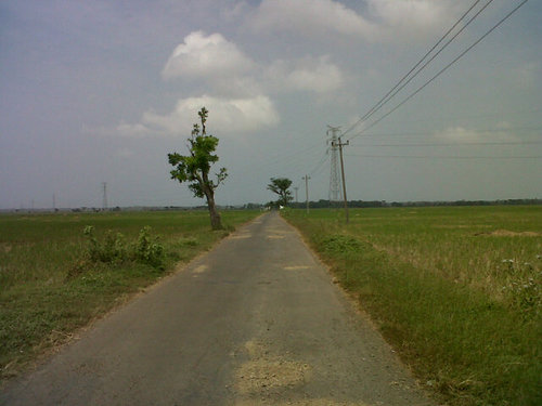 aspari_wibowo's profile picture. 