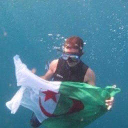 DrapeauAlgerien's profile picture. La ou Tu Ne m'attend pas J'y suis Qui Suis-Je ?