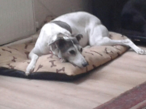 I'm Pat and I'm and OAP and I'm chatty.  That's all I have to say.