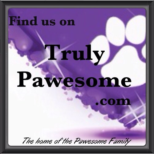 Offers, tweets and RTs from the best pet businesses ever! #pawesomefamily