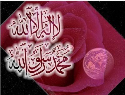 ‏كيك & إنستقرام : dana_store_ إيميل dana_store_@outlook.sa