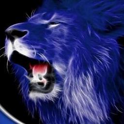Chelsea Fan Always a Blue #KTBFFH