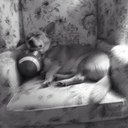 Patty Egan - @pegan10 - Twitter