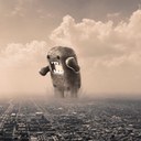 Keith McNamara - @KeithMac303 - Twitter