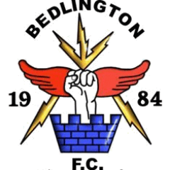Bedlington Juniors