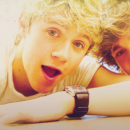 Niall James Horan born on 13th september1993 is one sexy human being!!