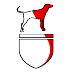 customerizeit's profile picture. Bringing Customers to Tech Innovations