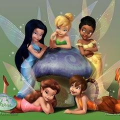 amo quem me ama