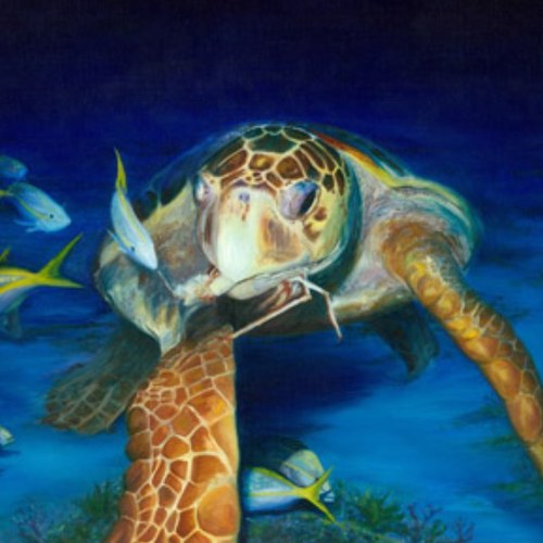 Here at http://t.co/WplVezKtfq we strive to offer quality art and handmade items to lovers and supporters of sea turtles and conservation efforts everywhere.