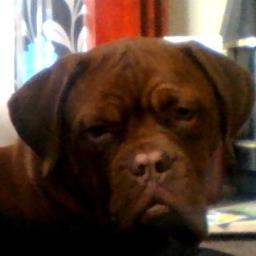 LynseyBerry02's profile picture. Hello!! Gateshead ♥♡♥