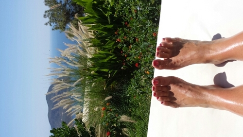 lucindajanemast's profile picture. 