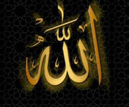 alikhalil1953 Profile Picture
