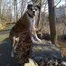 Casey9w@bsky (@philiptsimpson) Twitter profile photo