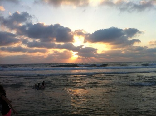 eyalliebermensc's profile picture. 