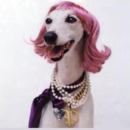 Kermi's bitch