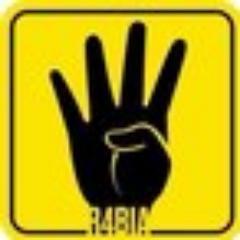 EgyAntiCoup's profile picture. Official English account of Egypt Anti-Coup, Pro-Democracy Alliance