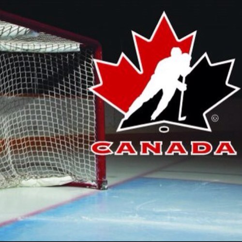 So you like hockey eh?