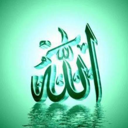 medreda961's profile picture. 