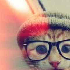 PetitsModles's profile picture. Apasionada de la moda y los complementos.