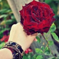 Follow me Follow Back 🔙🔙💯💯🇵🇸🇾🇪🇵🇸