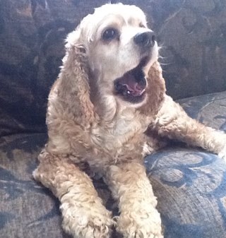 Parsons100Keith's profile picture. 