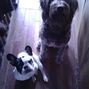 Beverly Spencer - @bevieboop3 - Twitter