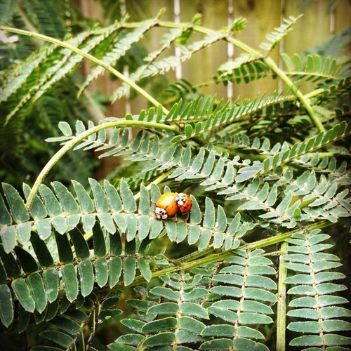 771jroyce's profile picture. 