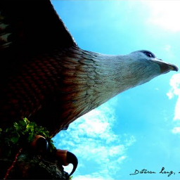 LangkawiKedah's profile picture. Langkawi is synonymous with romantic ‘tropical paradise’  especially for the nature lovers.                           https://t.co/ka9mMD8Xog