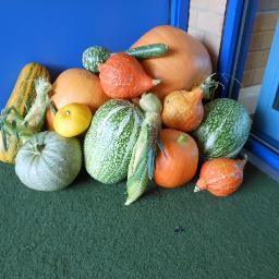 All allotments in Brentwood, Essex