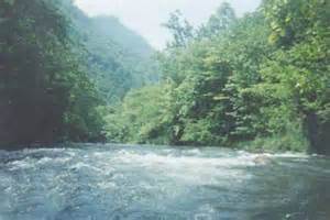 Faith, Family, and Fishing