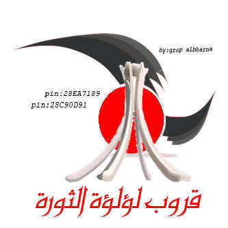 نستقبل إضافاتكم على جهاز البلاك بيري الخاص بالشبكة  pin:28EA7189