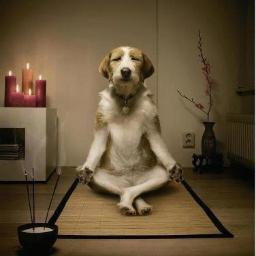 PSUGwen's profile picture. It doesn't matter how slow you go, as long as you don't stop...