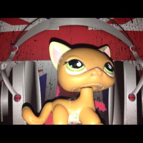 manonTV's profile picture. Hello My Name is Katy Im 15 year old me Friend you ?