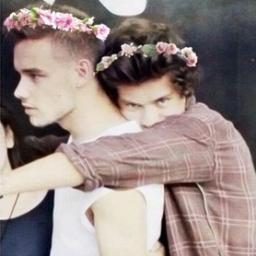 Hiiiiiiiiii. I am Directioner! One Direction changed my life, I'm sure they changed yours too :)