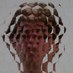 Thomas Gregor (@gregorscience) Twitter profile photo Thomas Gregor (@gregorscience) Twitter profile photo