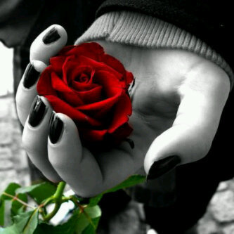 ElangSatudewi48's profile picture. 