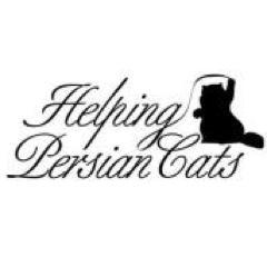 We rescue Persians, Himalayans, Exotic Shorthairs and other breed cats from Los Angeles area shelters!     #NKLA Coalition Partner