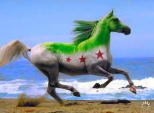كلمه الحق لاتنجلي ياكلاب الفرس المجوس حشركم الله معهم