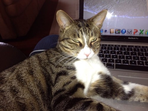 ginger1998's profile picture. 