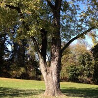 LCG (@lcg_337) 's Twitter Profile
