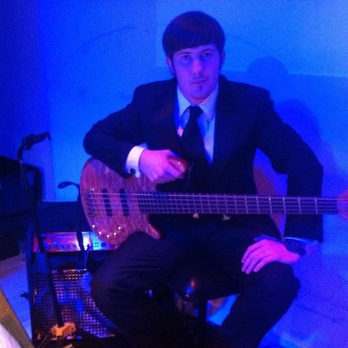 Double Bassist, Electric bassist/guitarist- Musical director,arranger.